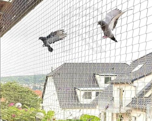 Bird Safety Net